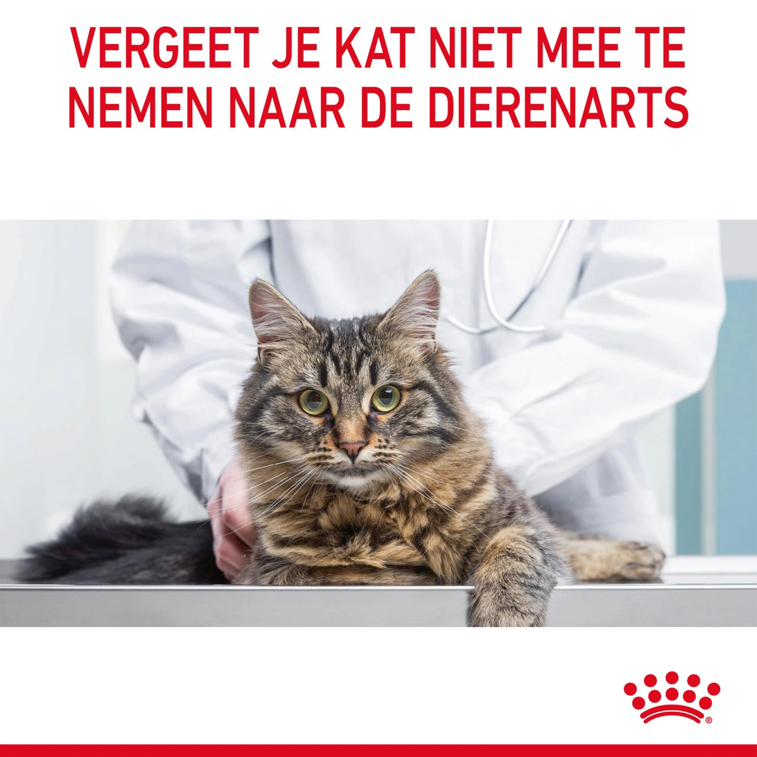 Royal Canin Appetite Control Care In Gravy - Afbeelding 12