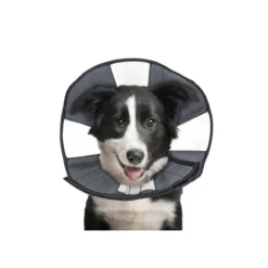 ZenPet Zen Collar