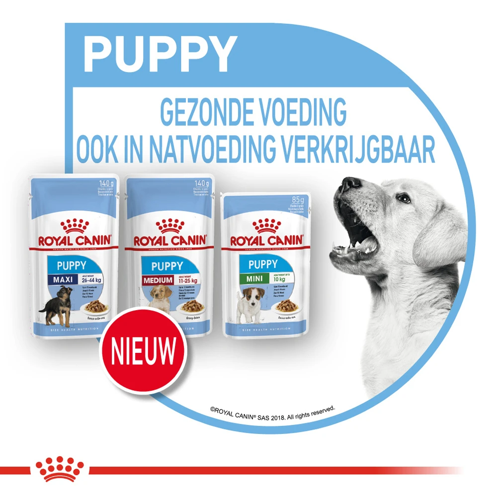 Royal Canin Maxi Puppy - Hondenvoer - Afbeelding 10