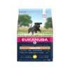 Eukanuba Dog – Growing Puppy – Large Breed