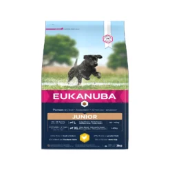 Eukanuba Dog – Growing Puppy – Large Breed