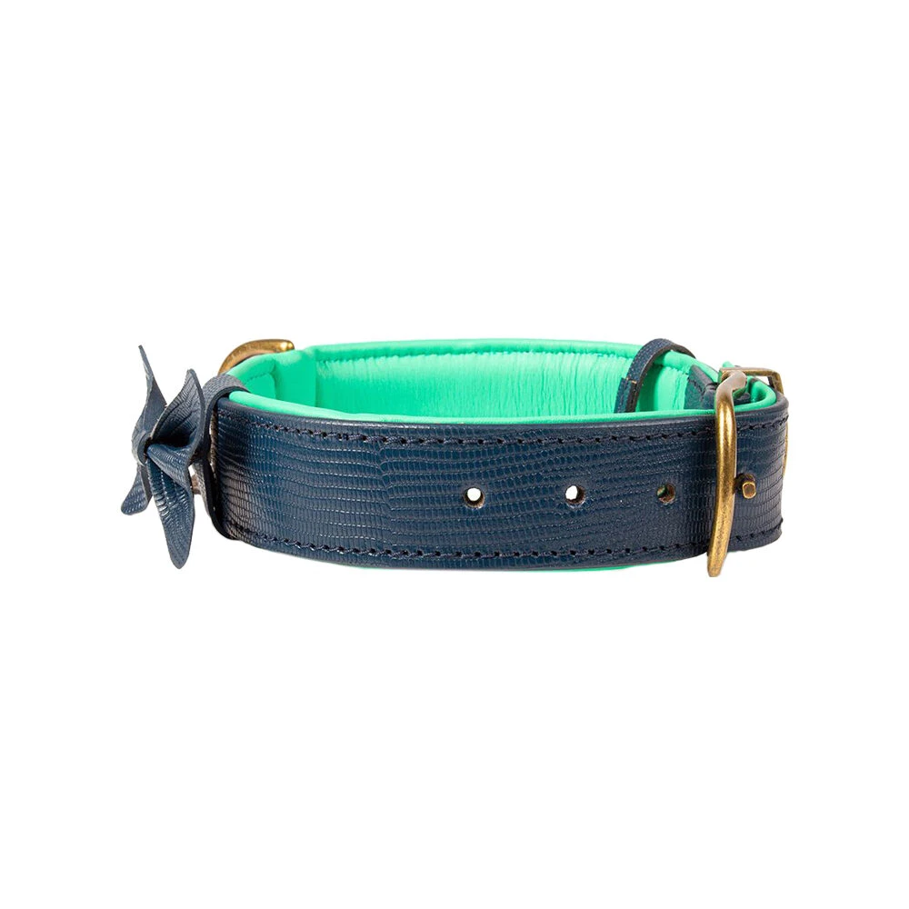 DWAM Halsband Buster - Afbeelding 7