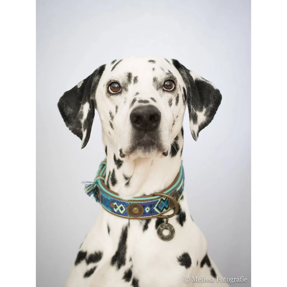 DWAM Halsband Boho Juan - Afbeelding 10