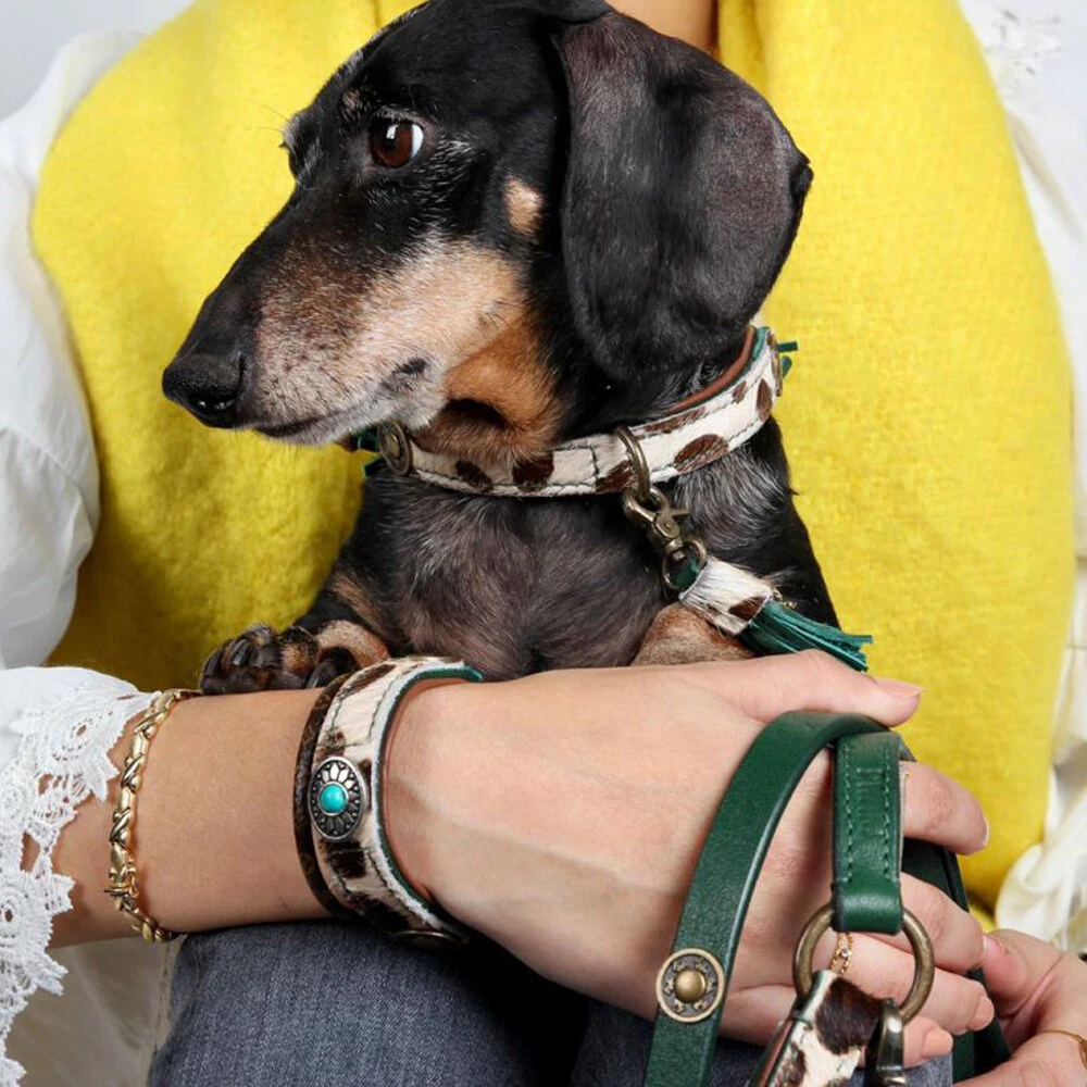 DWAM Hondenriem Ivy - Afbeelding 4