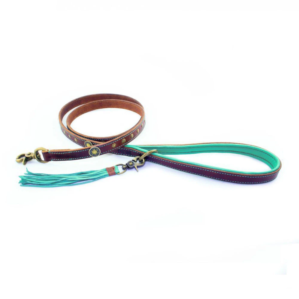 DWAM Hondenriem Joe - Afbeelding 5