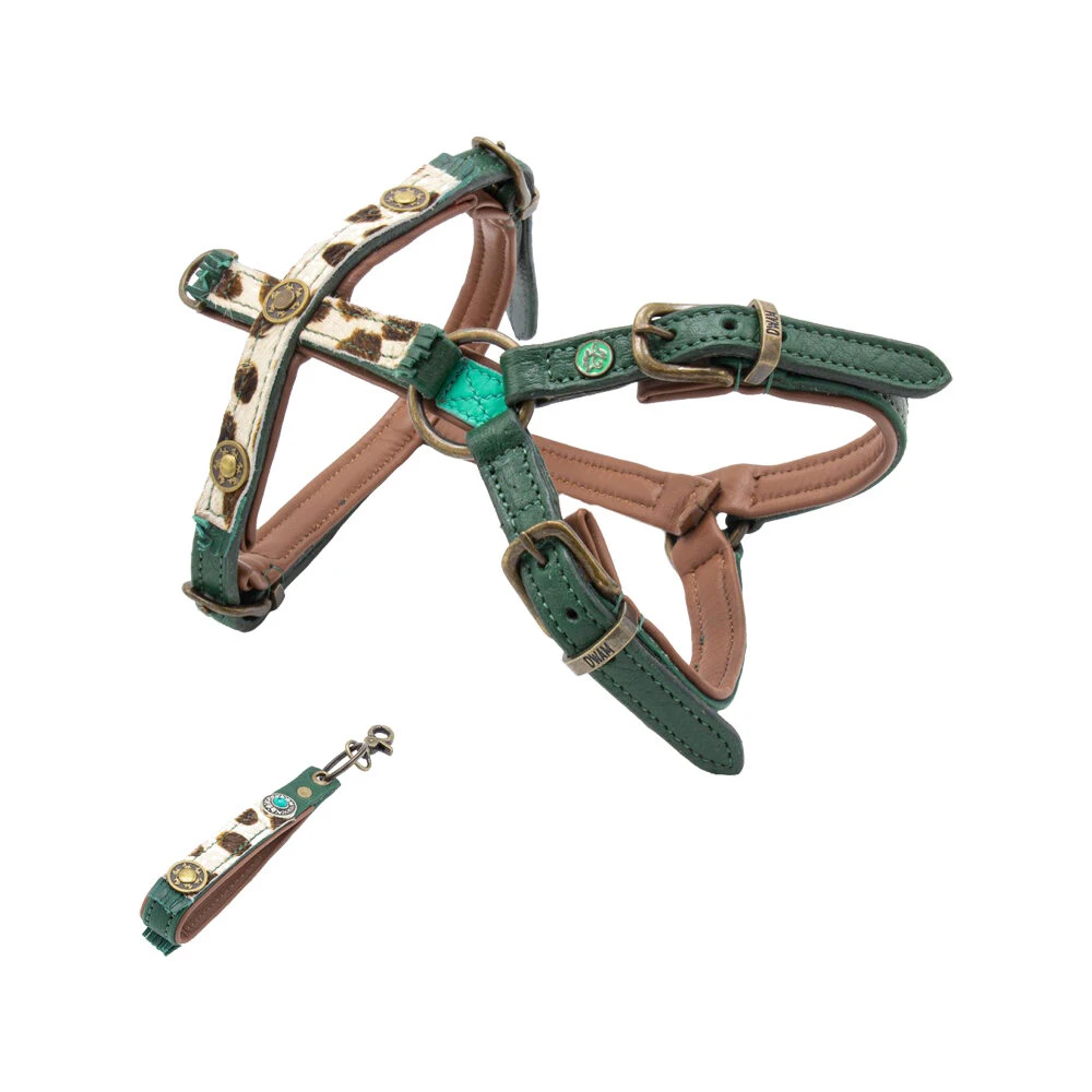 DWAM Hondentuigje Ivy