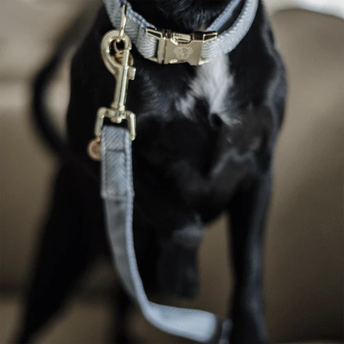 Kentucky Dogwear Hondenlijn Wool - Afbeelding 13