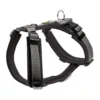 Hunter Harness Maldon