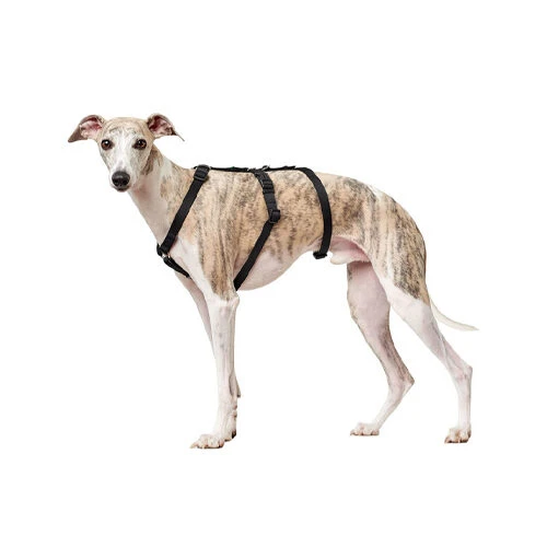 Hunter Vario Rapid Veiligheidsharnas - Afbeelding 9