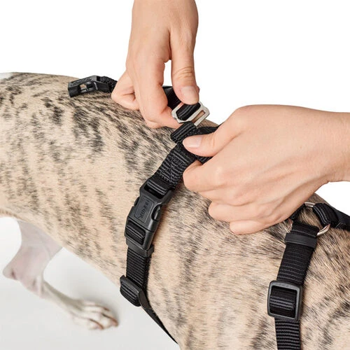 Hunter Vario Rapid Veiligheidsharnas - Afbeelding 11