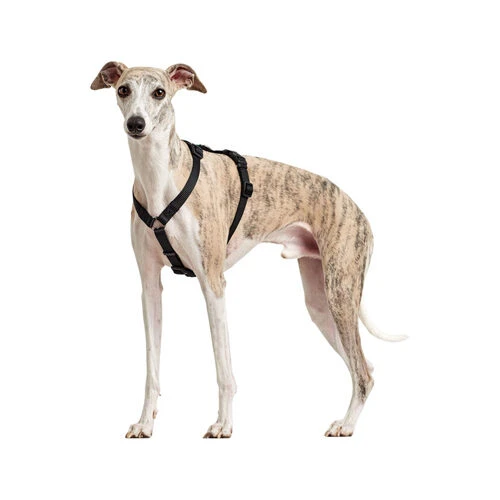 Hunter Vario Rapid Veiligheidsharnas - Afbeelding 10