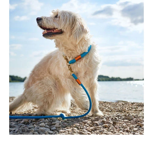 Hunter Verstelbare Riem Oss - Afbeelding 12