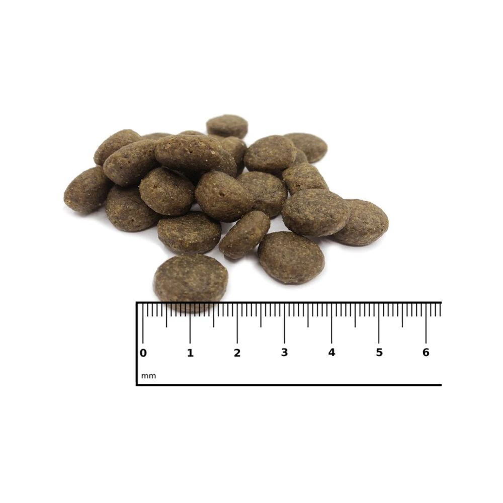 ICEPAW Scandic Duck - Afbeelding 5