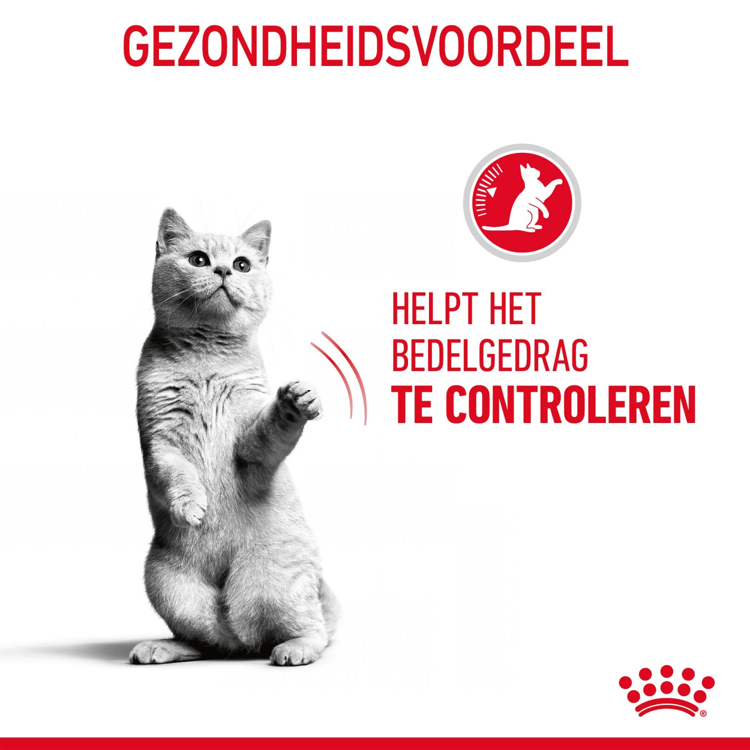 Royal Canin Appetite Control Care In Gravy - Afbeelding 8