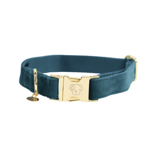 Kentucky Dogwear Velvet Hondenhalsband - Afbeelding 2