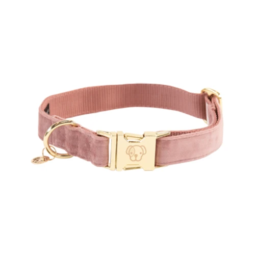 Kentucky Dogwear Velvet Hondenhalsband - Afbeelding 13