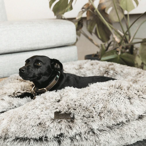 Kentucky Dogwear Comfort Donut Hondenmand - Afbeelding 11