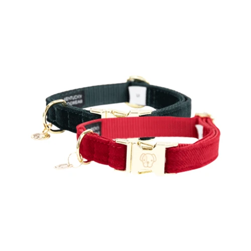 Kentucky Dogwear Corduroy Hondenhalsband - Afbeelding 11