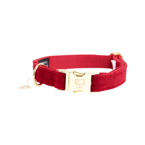 Kentucky Dogwear Corduroy Hondenhalsband - Afbeelding 12