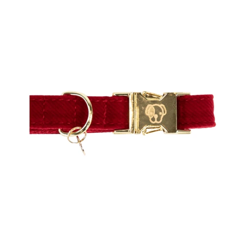 Kentucky Dogwear Corduroy Hondenhalsband - Afbeelding 15