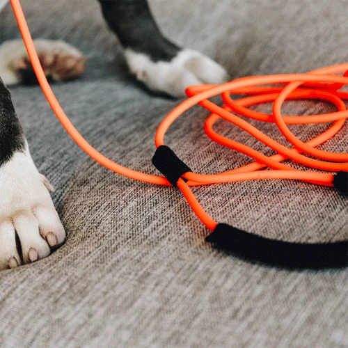 Kentucky Dogwear Sleeplijn Soft Rubber - Afbeelding 11