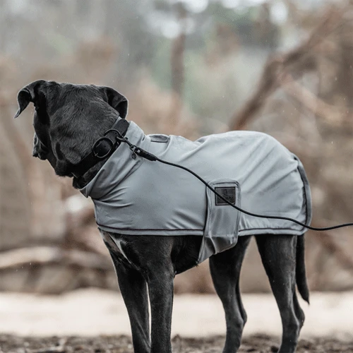 Kentucky Dogwear Soft Rubber Hondenhalsband - Afbeelding 8