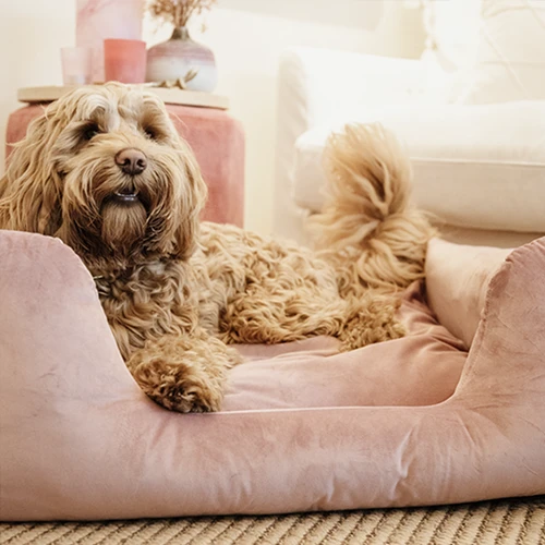 Kentucky Dogwear Velvet Hondenmand - Afbeelding 7