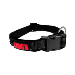 KONG Nylon Collar