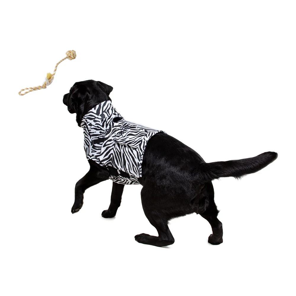 Medical Pet Top Shirt - Zebraprint - Afbeelding 8