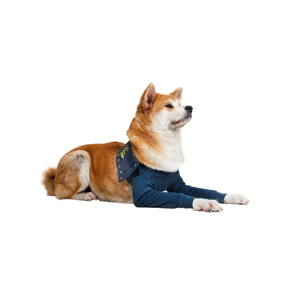 MPS-TAZ2 Voorpootmouwtjes - Afbeelding 11