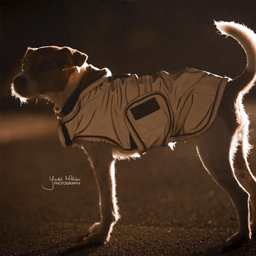 Kentucky Dog Coat Reflective & Waterrepellent - Afbeelding 11