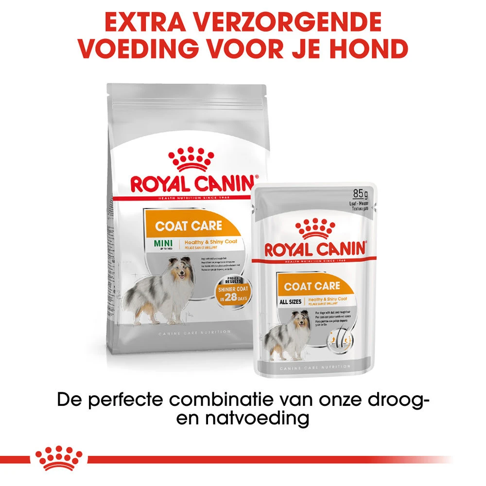 Royal Canin Coat Care Wet - Hondenvoer - Afbeelding 7