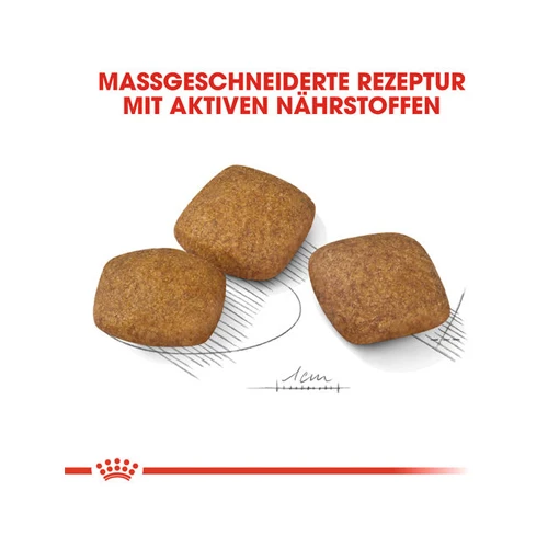 Royal Canin Maxi Relax Care - Hondenvoer - Afbeelding 13