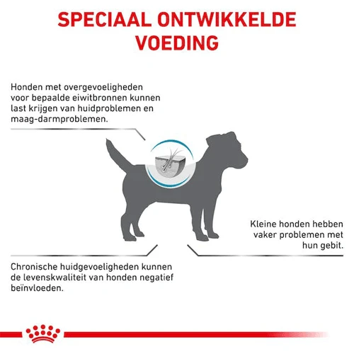 Royal Canin Anallergenic Kleine Hond - Afbeelding 4