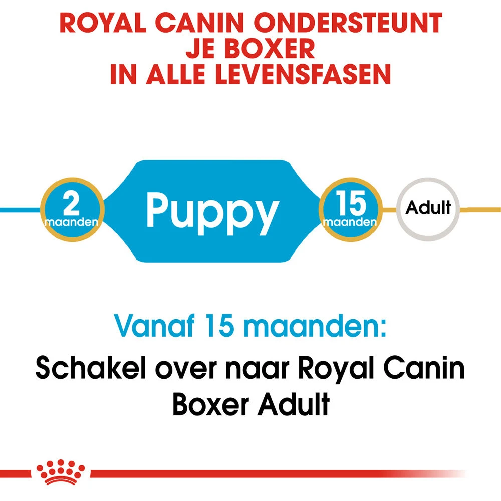Royal Canin Boxer Puppy - Hondenvoer - Afbeelding 7