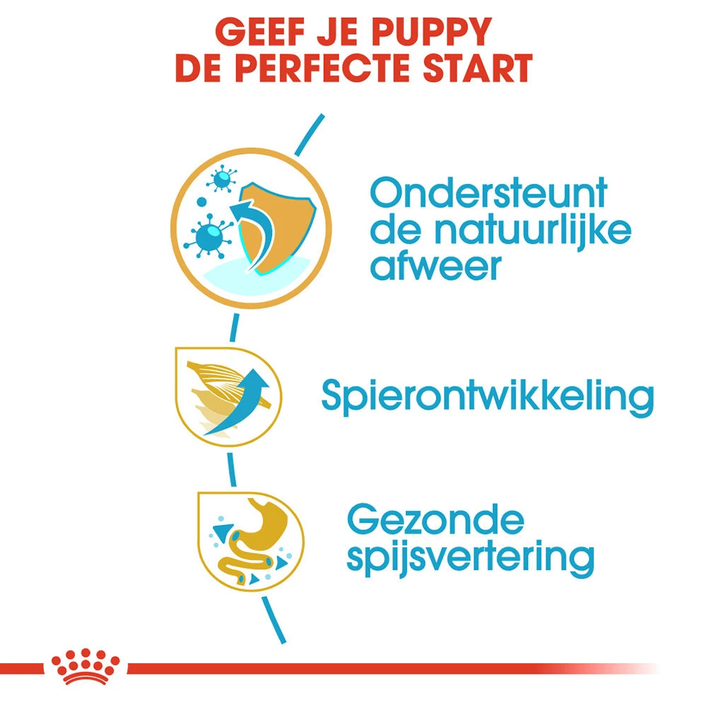 Royal Canin Boxer Puppy - Hondenvoer - Afbeelding 4
