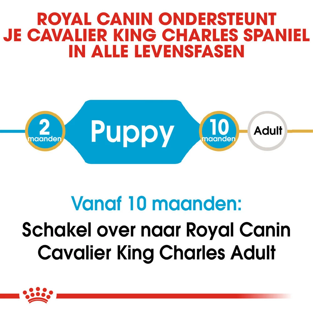 Royal Canin Cavalier King Charles Puppy - Hondenvoer - Afbeelding 7