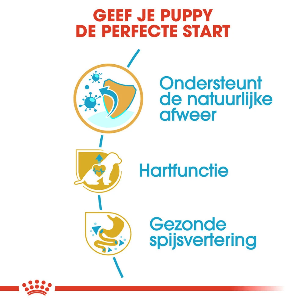 Royal Canin Cavalier King Charles Puppy - Hondenvoer - Afbeelding 4