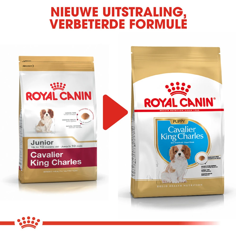 Royal Canin Cavalier King Charles Puppy - Hondenvoer - Afbeelding 2