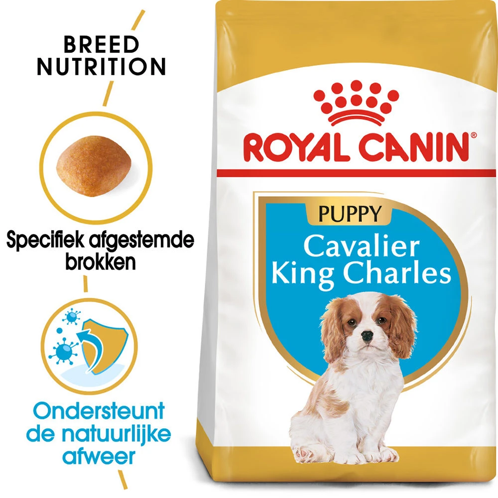 Royal Canin Cavalier King Charles Puppy - Hondenvoer - Afbeelding 3