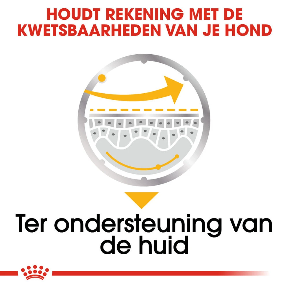 Royal Canin Dermacomfort Wet - Hondenvoer - Afbeelding 6