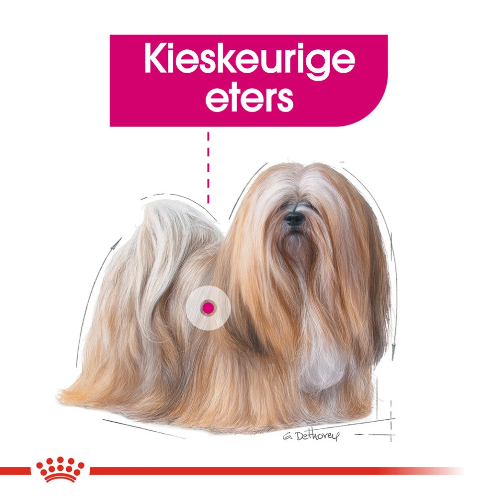 Royal Canin Exigent Wet - Hondenvoer - Afbeelding 4