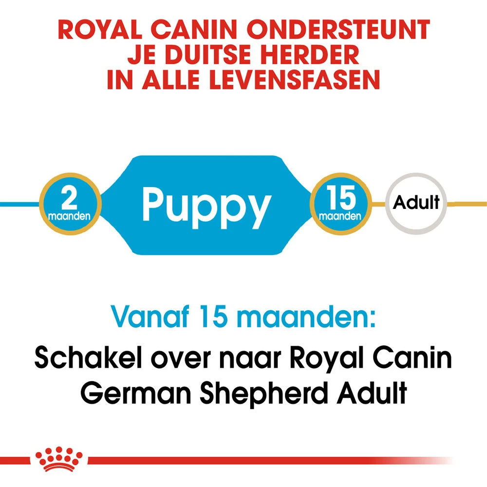 Royal Canin German Shepherd Puppy- Hondenvoer - Afbeelding 8