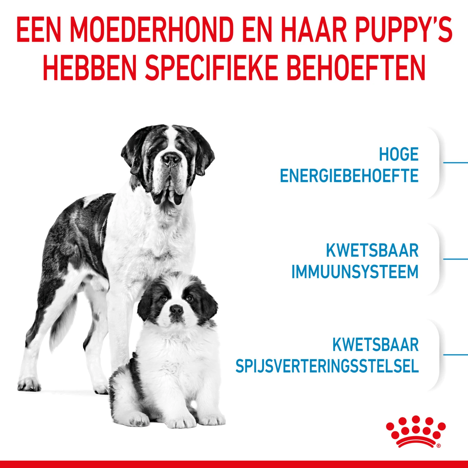 Royal Canin Giant Starter Mother & Babydog - Hondenvoer - Afbeelding 4