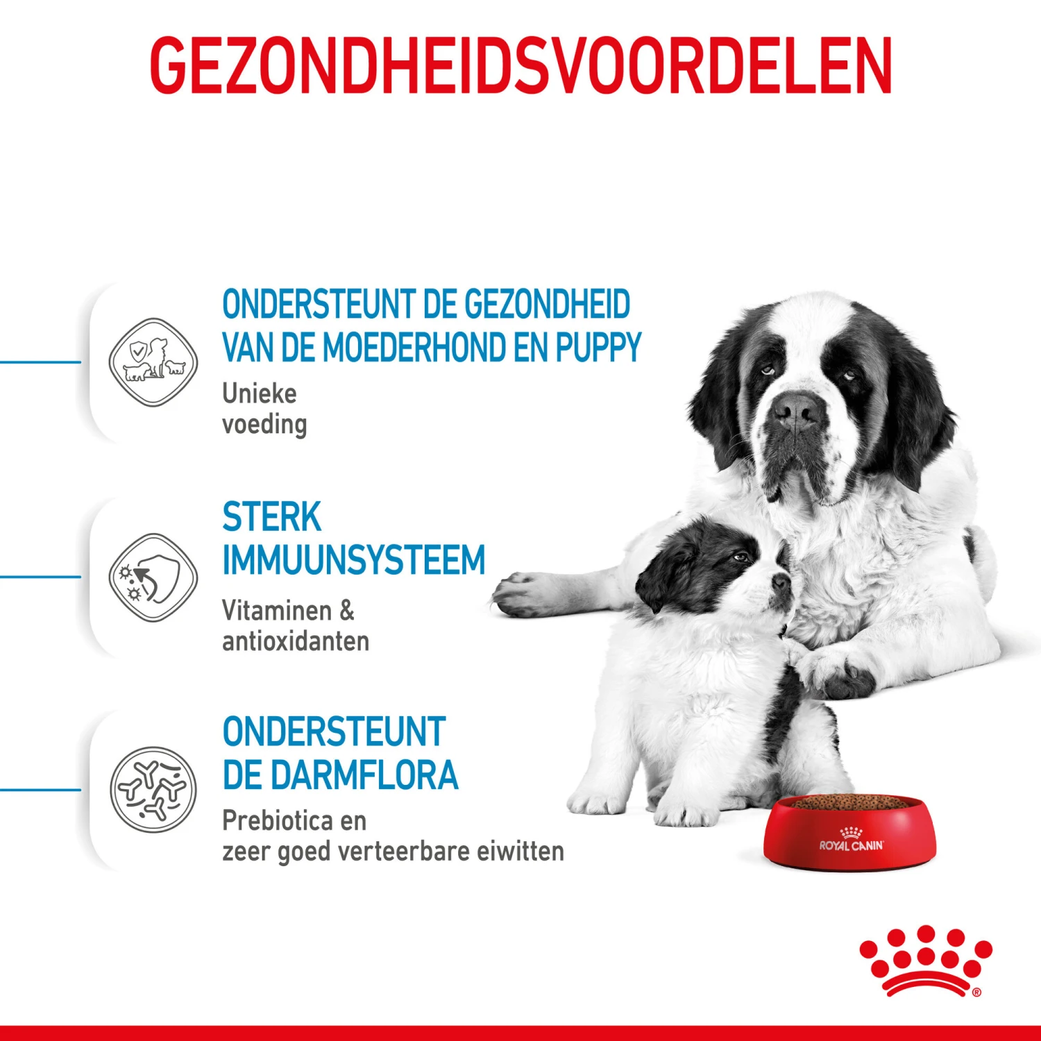 Royal Canin Giant Starter Mother & Babydog - Hondenvoer - Afbeelding 5