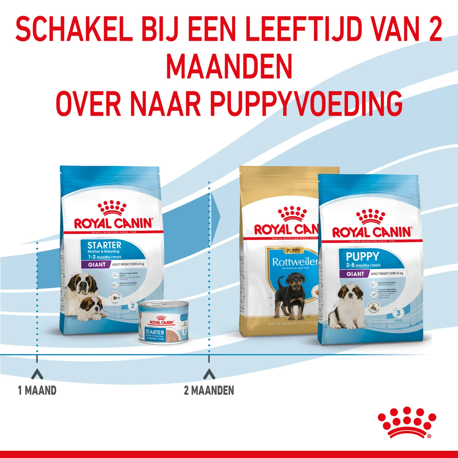 Royal Canin Giant Starter Mother & Babydog - Hondenvoer - Afbeelding 7