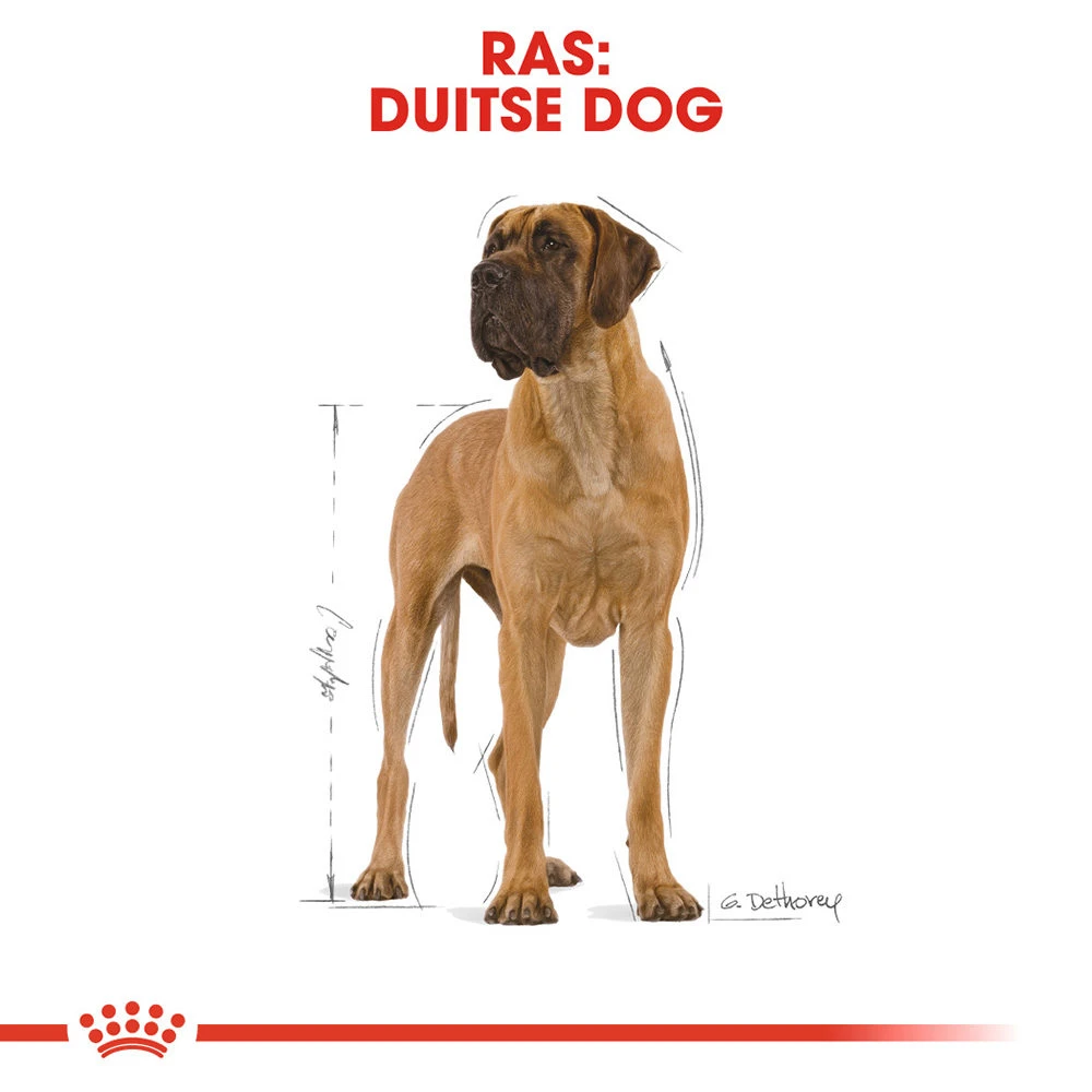 Royal Canin Great Dane Adult - Hondenvoer - Afbeelding 5