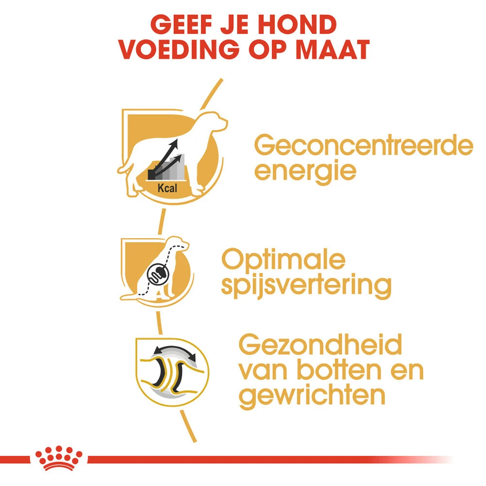 Royal Canin Great Dane Adult - Hondenvoer - Afbeelding 3