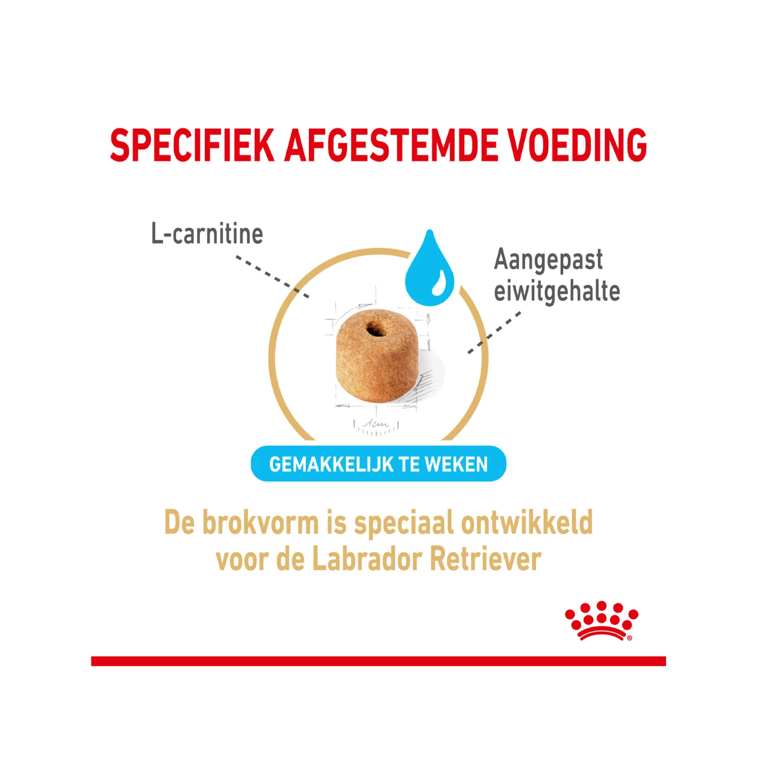 Royal Canin Labrador Retriever Adult 5+ - Afbeelding 5