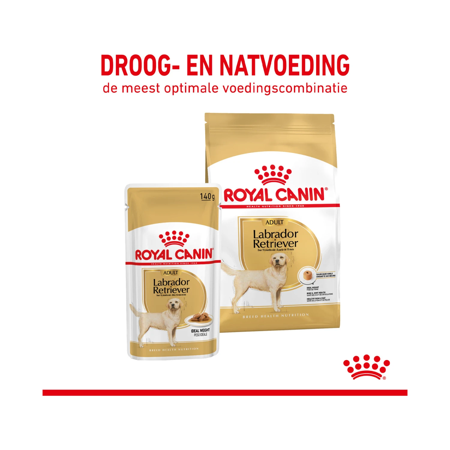 Royal Canin Labrador Retriever Adult Wet - Afbeelding 6